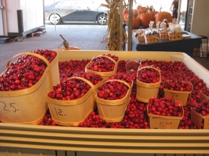 A pile of cranberries ready for Thanksgiving! 